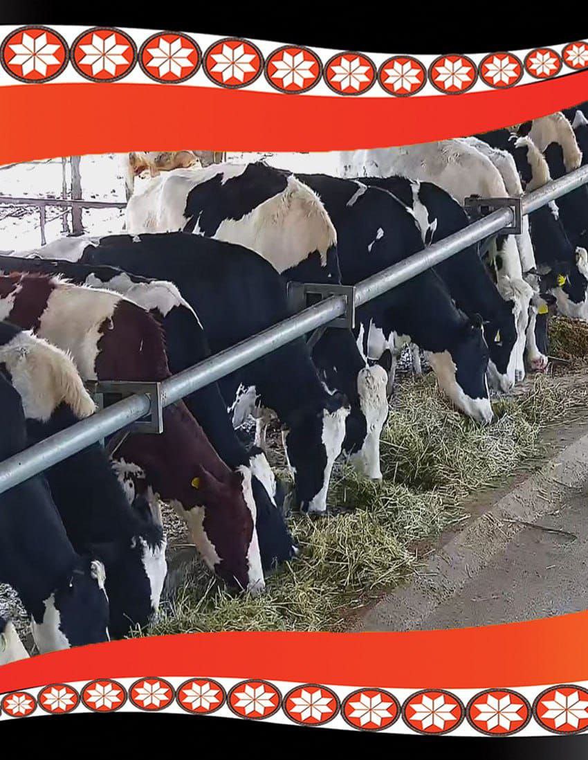 ATOT Farm - አቶት የተቀናጀ የእርሻ ኢንዱስትሪ